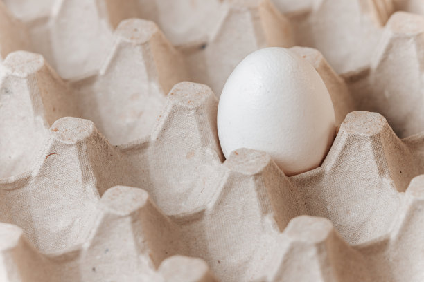 硬纸板容器鸡蛋与一个鸡蛋在一个细胞特写。图片下载