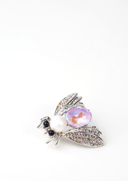 在白底上飞图片下载