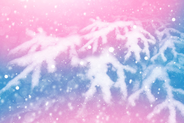 冬天的森林，树木被雪覆盖。户外图片下载