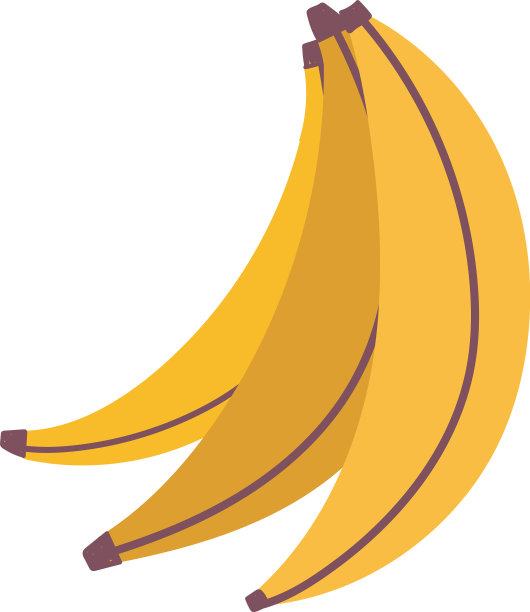 新鲜热带水果，香蕉孤立白色图片下载