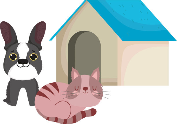 宠物店的狗和睡觉的猫和家养动物图片下载