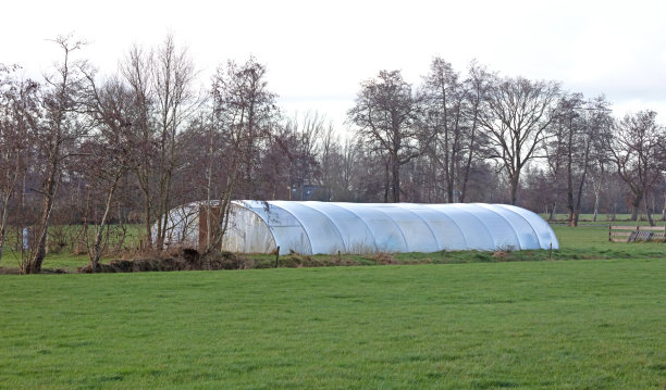 荷兰牧场自制大塑料拱形温室图片下载