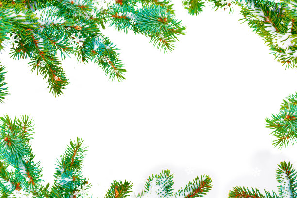 圣诞树在雪中图片下载