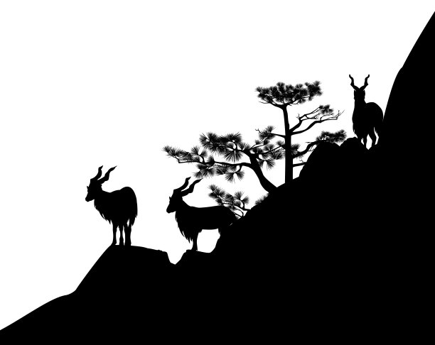 黑色矢量轮廓的马可尔山山羊放牧在岩石悬崖图片下载