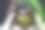热情的高加索女孩肖像与卷曲多彩的头发和艺术面具。与黑色。水平的形象图片下载