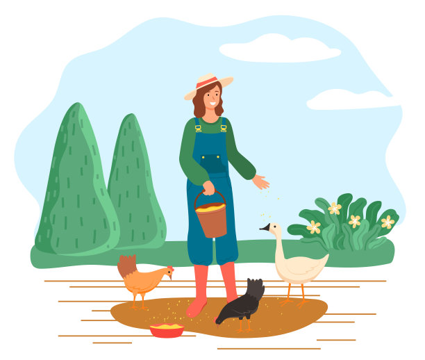 农妇在农场喂鸡图片下载