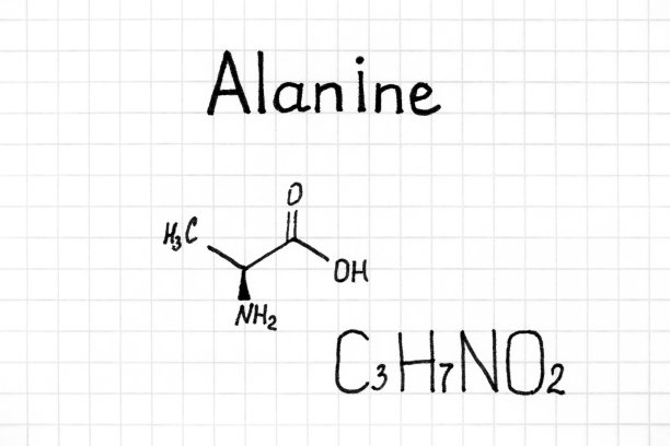 丙氨酸的手写化学式图片下载