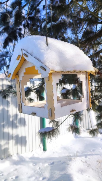 喂鸟。图片下载