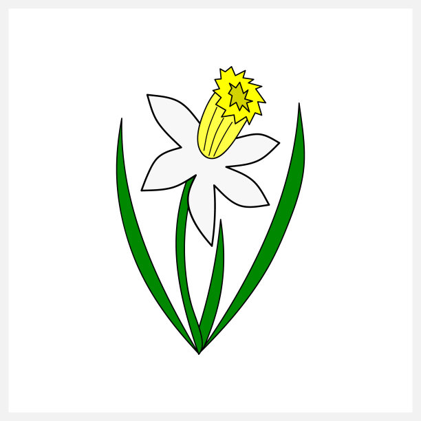 水仙孤立在白色，涂鸦花，手绘艺术线，矢量股票插图。每股收益10图片下载