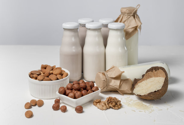 各种不含乳糖的牛奶，由坚果和谷物制成，装在玻璃瓶中。清淡的素食概念，用榛子，燕麦，椰子，杏仁，核桃，大米制成的牛奶饮料图片下载