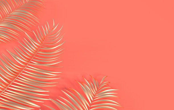 热带棕榈叶背景。夏季热带叶。异国情调的夏威夷丛林，夏季派对设计时髦的海报，传单，横幅，卡片，封面，小册子。3 d渲染。图片下载