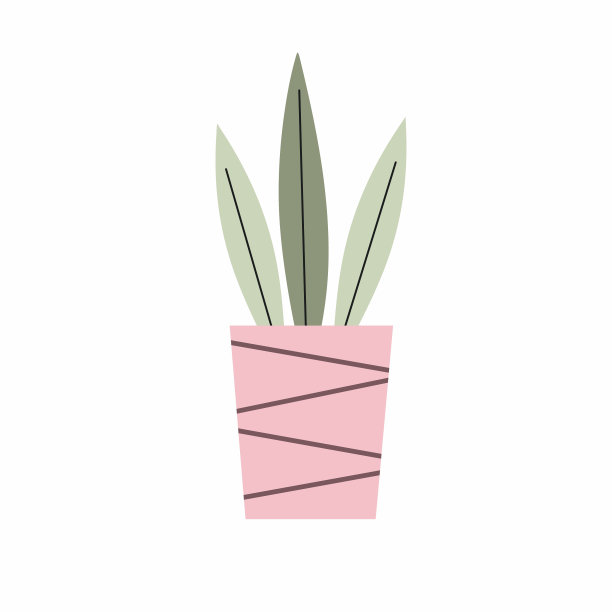 水桶里的花丛。一盆盆栽。图标为设计的明信片。图片下载