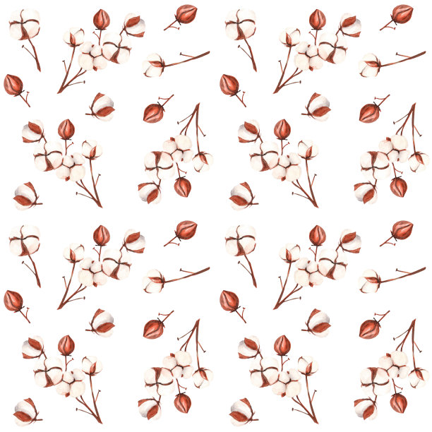 棉花花是用水彩画技术制作的。用于在织物、纸张上印刷。图片下载