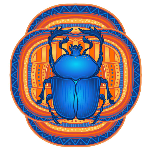 圣甲虫，甲虫。图片下载