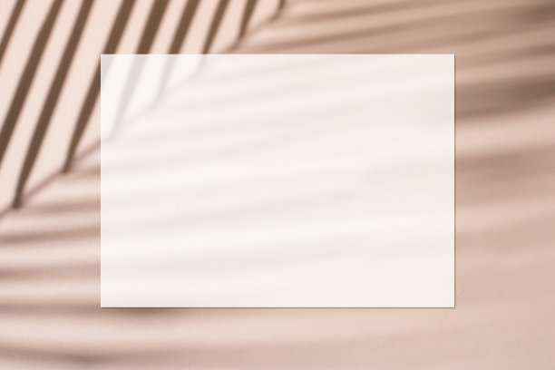 白色的邀请卡和椰子叶的影子图片下载