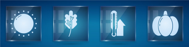 设置太阳叶或树叶气象温度计图片下载