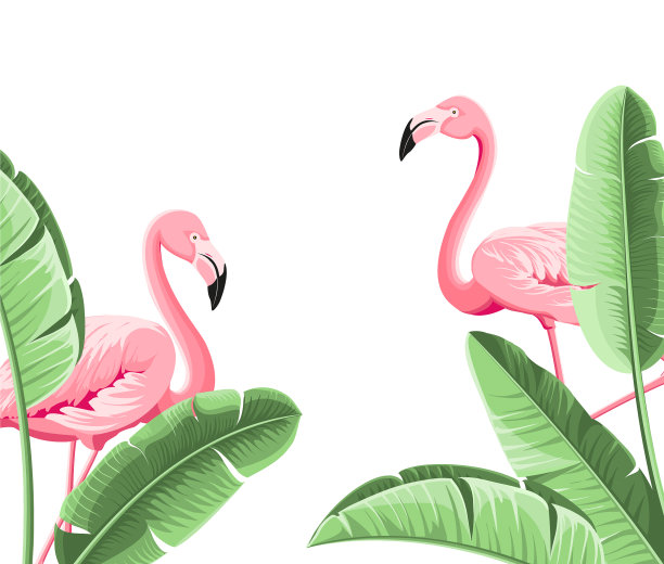 夏季热带框架异国香蕉叶图案图片下载