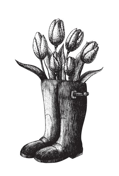 时尚手绘春天可爱的黑色墨水矢量插画花园。一束穿着胶靴的郁金香。图片下载
