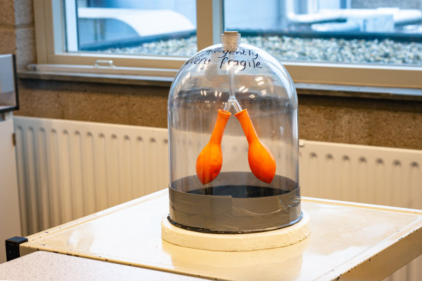 显示肺功能的装置图片下载