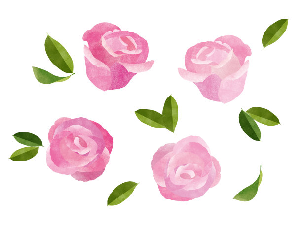 粉红玫瑰相框图片下载