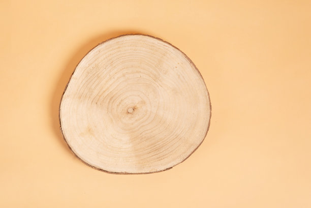 天然有机环保美容产品理念。木横截面切割米色背景。化妆品展柜。顶视图,模型。产品广告。图片下载