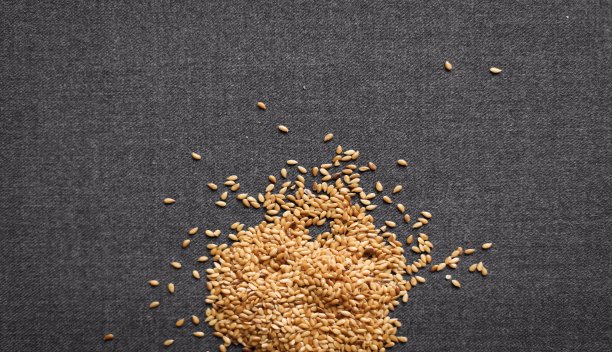 黑色背景上的芝麻/亚麻籽。图片下载