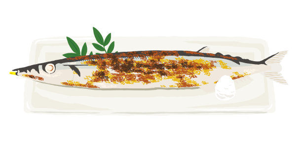 太平洋秋刀鱼图片下载