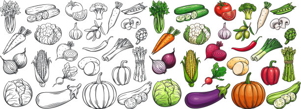 蔬菜图标设置图片下载