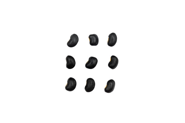 特写黑豆，白色孤立的背景。有9颗种子图片下载