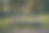 一个孤立的肮脏的长满绿叶的河岸。图片下载