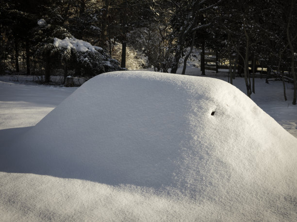 Hügelkultur冬天被雪覆盖的床图片下载