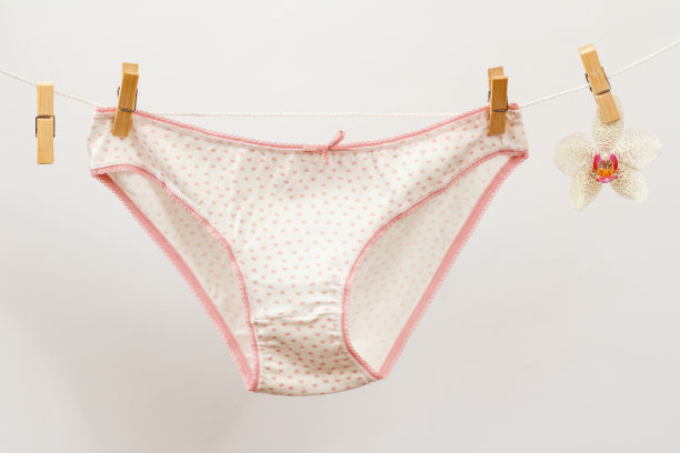 美丽的白色妇女的棉内裤在白色的背景。图片下载
