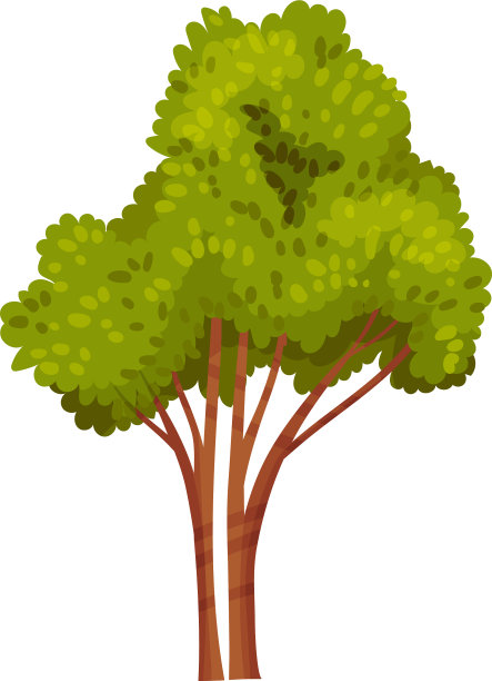 有繁茂的绿色叶子和树干的树图片下载