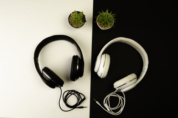 黑色和白色的耳机在黑暗的背景与植物图片下载