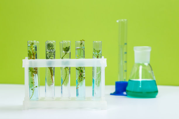 试管和其他实验室玻璃器皿，在绿色背景上有不同的植物图片下载