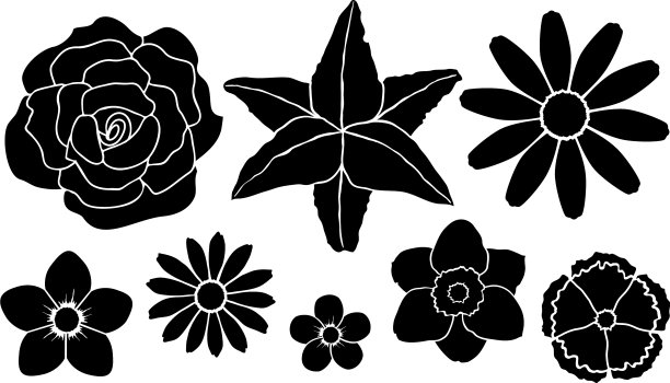 设置轮廓的花图片下载