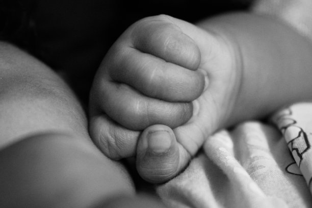 欢迎,小家伙图片下载