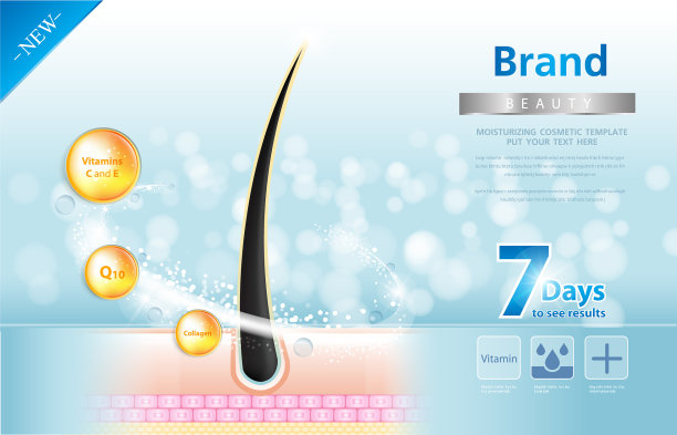 护发血清毛囊诊断解剖学皮肤图片下载