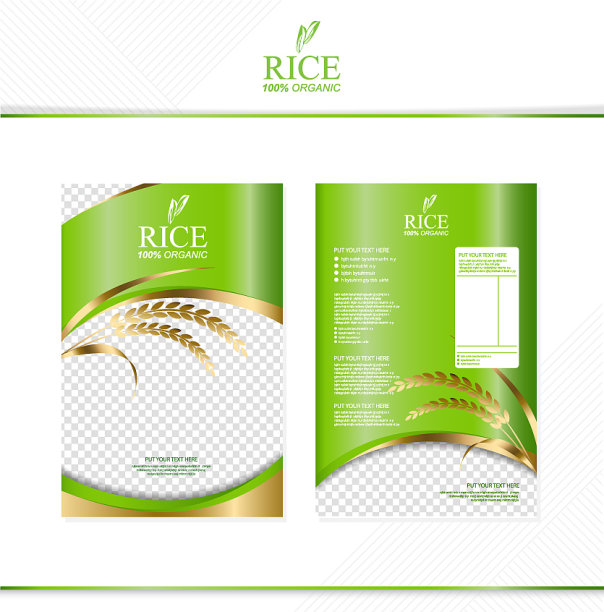 大米食品或泰国食品横幅和海报模板图片下载