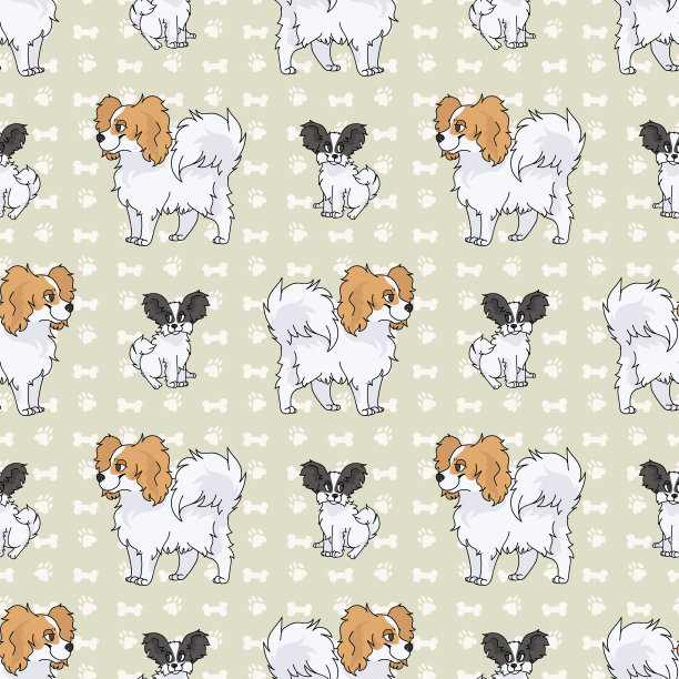 可爱的卡通蝴蝶坐矢量clipart。纯种犬舍犬品种，用于服从训练。纯种家养小狗，用于狗展插图吉祥物。孤立的犬类狩猎品种。图片下载