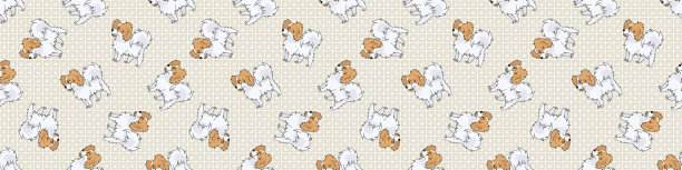 手绘可爱的蝶耳犬品种无缝边框图案。纯种纯种家犬背景。爱狗的人毛茸茸的宠物washi丝带。狗狗。图片下载