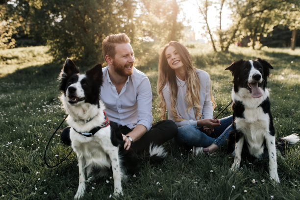 年轻夫妇喜欢散步，喜欢在公园里遛狗图片下载