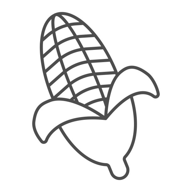 玉米细线图标，感恩节概念，白色背景上的玉米芯标志，用于移动概念和网页设计的轮廓样式玉米符号图标。矢量图形。图片下载