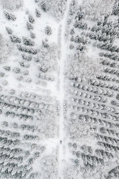鸟瞰图公路与汽车在冬季时间，汽车行驶在雪林。图片下载