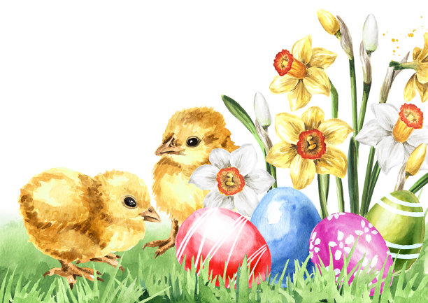 绿色的草地上有彩色的复活节彩蛋，黄色的小鸡和春天的花朵。手绘水彩插图，孤立的白色背景图片下载