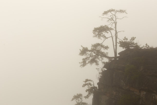 张家界树悬崖图片下载
