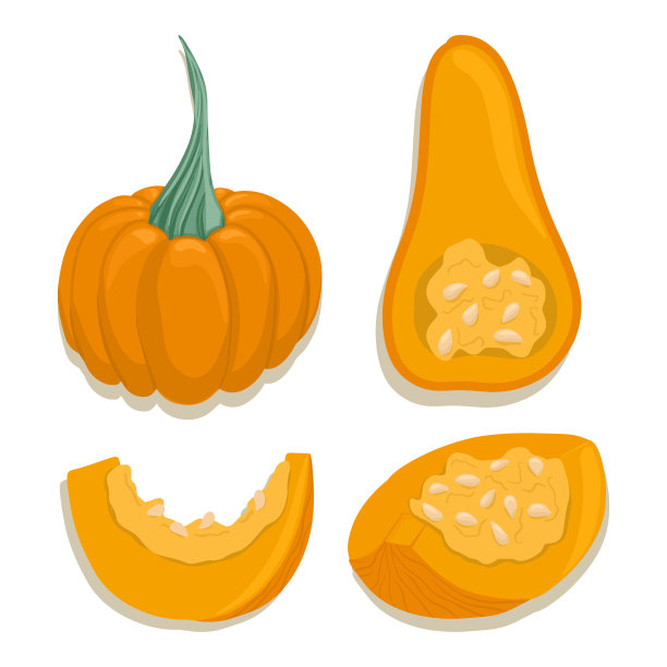 南瓜收藏在卡通风格明亮图片下载