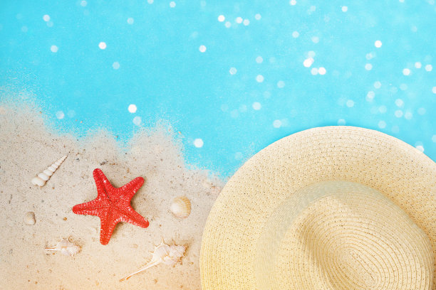 热带夏季。海贝，海星在沙滩上。热带的叶子。夏天的时间。度假、旅游、休息、放松。图片下载