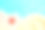 热带夏季。海贝，海星在沙滩上。热带的叶子。夏天的时间。度假、旅游、休息、放松。图片下载