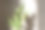 混凝土墙背景上的虎尾兰植物图片下载
